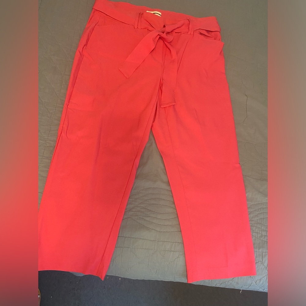 Jules & Leopold Hot Pink Dress pants. Really cute, barely worn